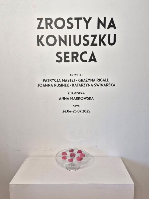 Otwarcie wystawy Zrosty na koniuszku serca