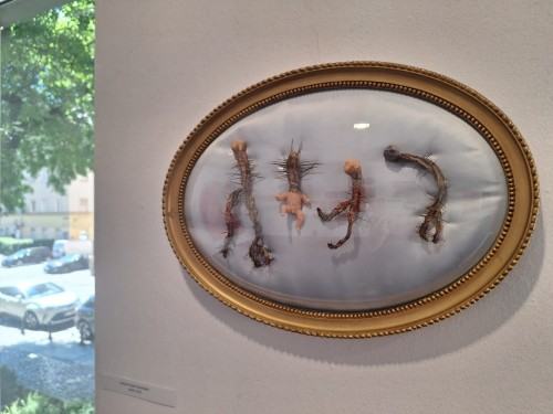 Otwarcie wystawy Zrosty na koniuszku serca