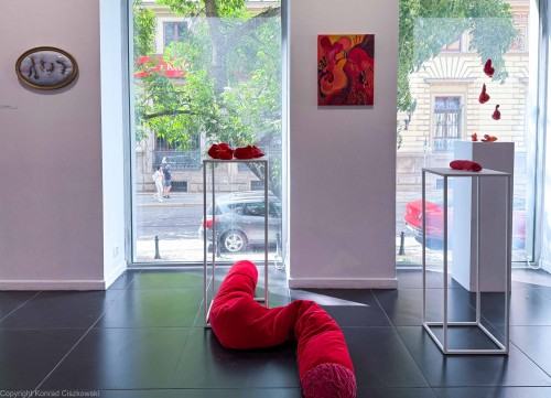 Otwarcie wystawy Zrosty na koniuszku serca