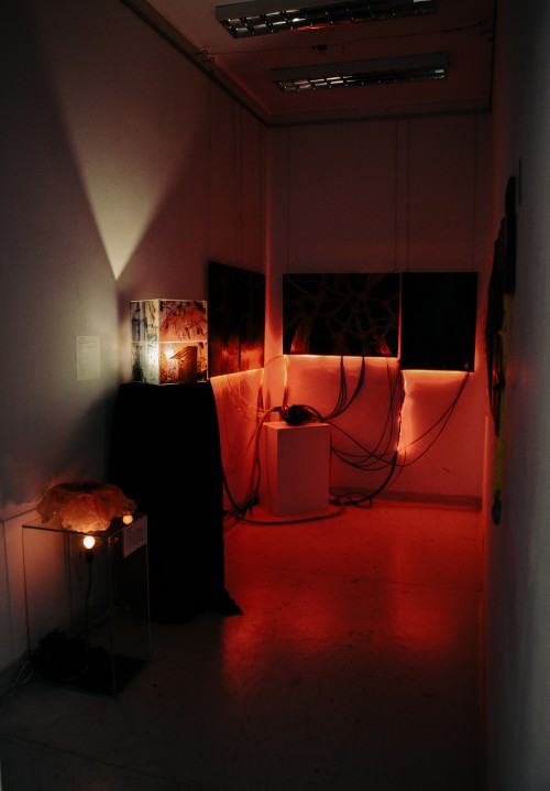 Wystawa Trucizna, zdj. Jagoda Patron