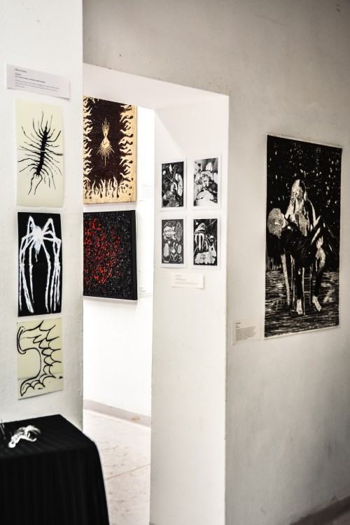 Wystawa Trucizna, zdj. Jagoda Patron