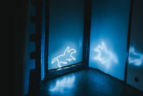 OutofBlackOut #2. kino PIONIER