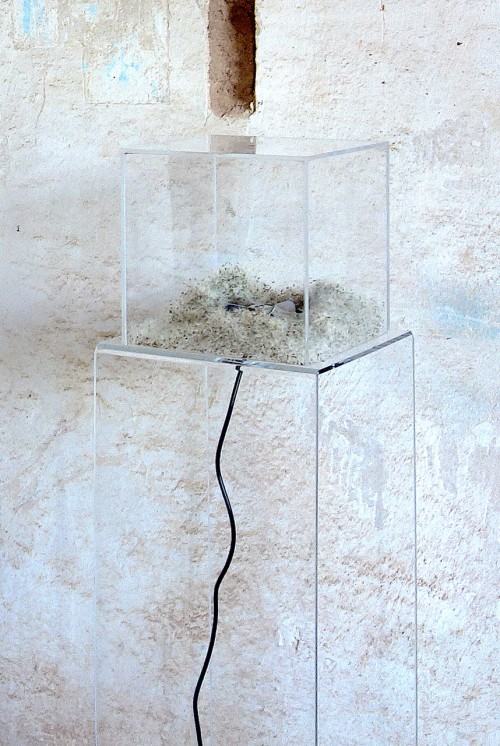 Wystawa Dowody na OBECNOŚĆ w Pałacu Struga, zdj. Małgorzata Kaczmarska