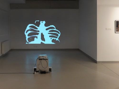 Wystawa Wasze domy nucą nasze pieśni