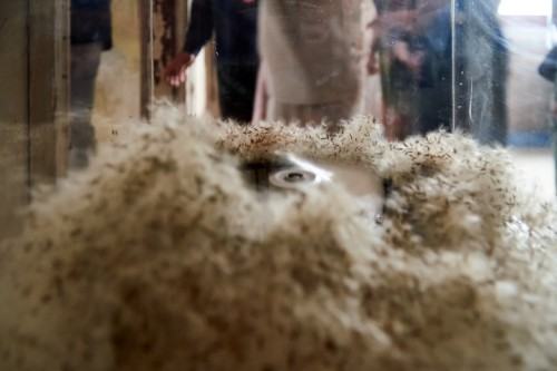 NIE/OBECNOŚĆ czyli o desublimacji sztuki