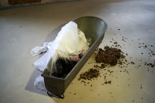 Wystawa Dowody na OBECNOŚĆ w Pałacu Struga, zdj. Aurelia Tymińska