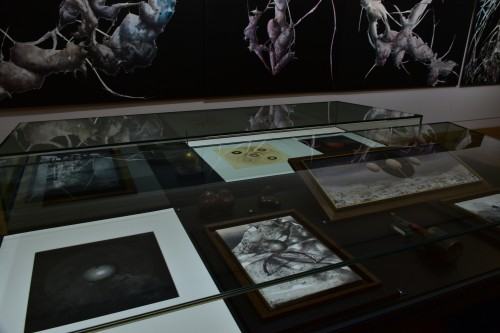 Morgenröte. Łukasz Huculak sieht Jacob Böhme