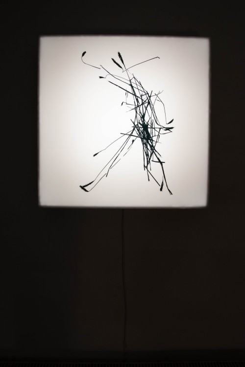 Marcin Derda, Pomnik nieznanego artysty - otwarcie wystawy