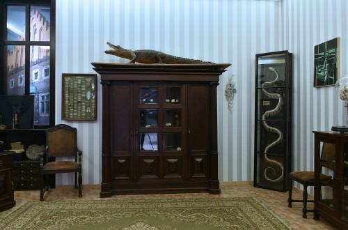 Wyspa Dnia Poprzedniego, fot. Łukasz Huculak