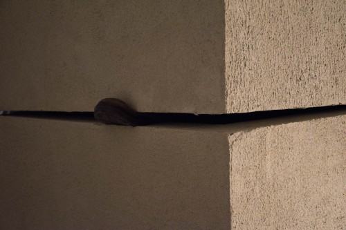 Marcin Derda, Pomnik nieznanego artysty - otwarcie wystawy