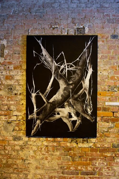 wystawa Widmo Antropocenu