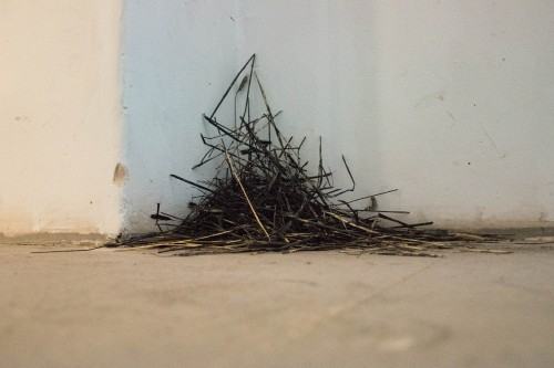 Marcin Derda, Pomnik nieznanego artysty - otwarcie wystawy