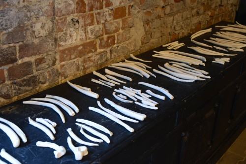 wystawa Widmo Antropocenu