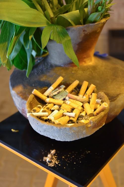 wystawa Widmo Antropocenu