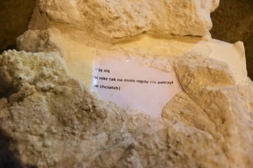 wystawa Widmo Antropocenu