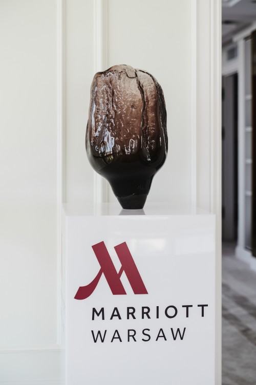 Wystawa Aleksandry Kujawskiej pt. Alchemia, fot. Tomasz Kowalski