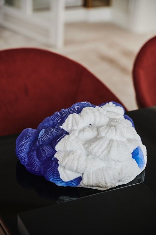 Wystawa Aleksandry Kujawskiej pt. Alchemia, fot. Tomasz Kowalski