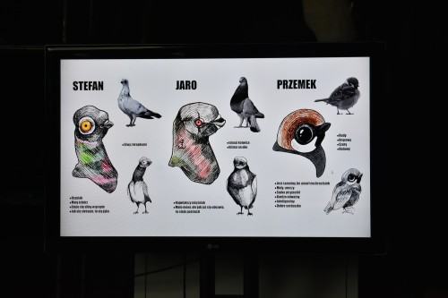 Przeglądy w Katedrze Scenografii