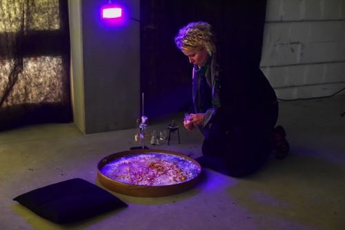 fotorelacja z wystawy TINNITUS AURIS