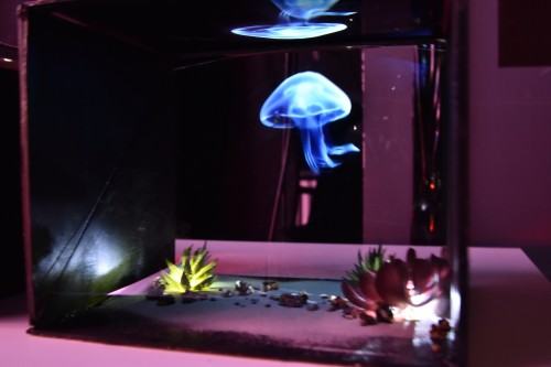 PRZEGLĄDY W KATEDRZE SCENOGRAFII