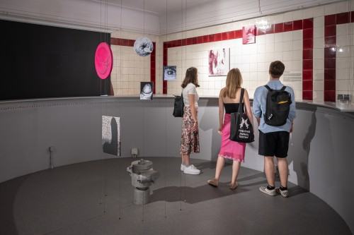 Ewa Babiarz, Too many Dicks on the Dance Floor