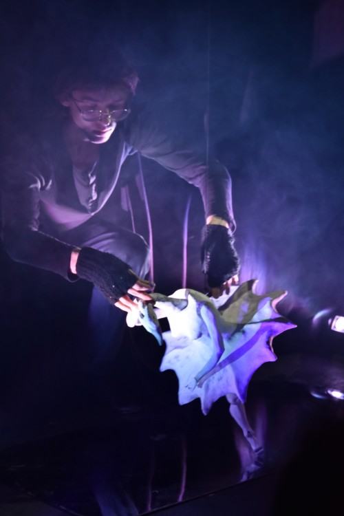 PRZEGLĄDY W KATEDRZE SCENOGRAFII