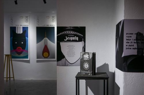 Cegła. Karolina Wiśniewska