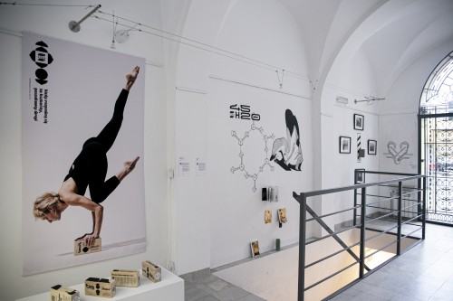 Cegła. Karolina Wiśniewska