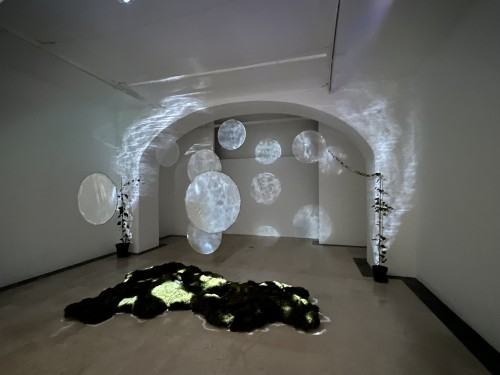 LAACT - international academic exchange