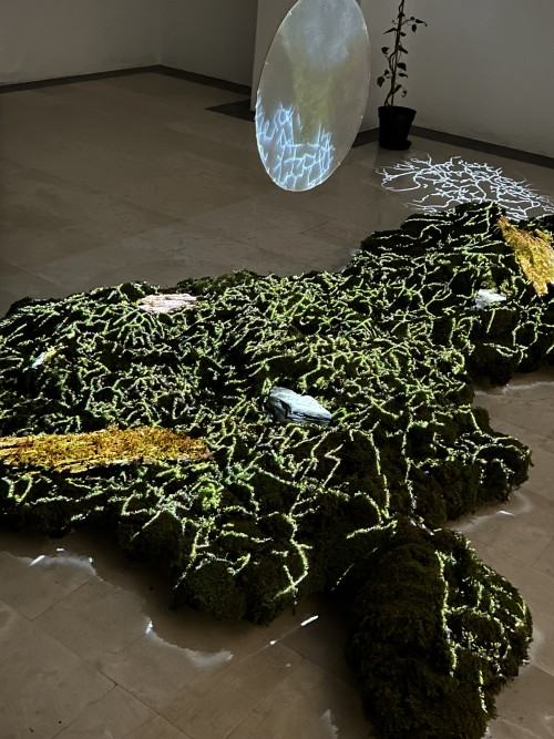 LAACT - international academic exchange