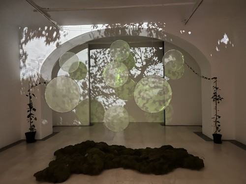 LAACT - international academic exchange