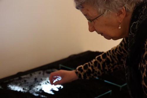 Hibernacja dzieciństwa