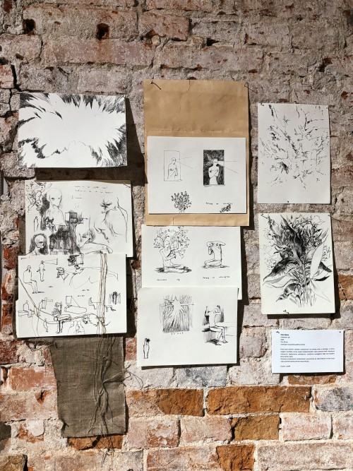 Szkic jako manifest. Wokół wystawy „Ścieżki i ślady”Karolina Poddębniak