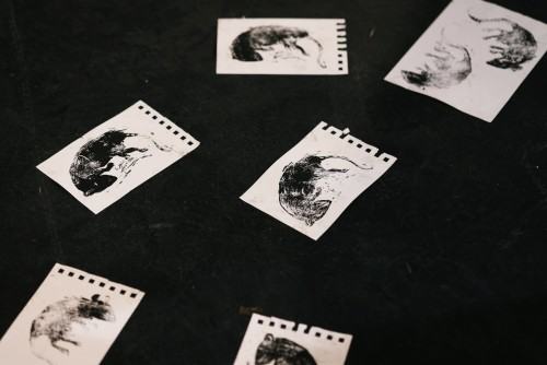 Szkic jako manifest. Wokół wystawy „Ścieżki i ślady”Wojciech Skibicki