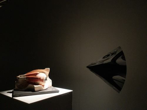 fotorelacja z wystawy  LAACT  XXIII