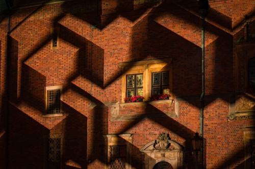 Pokazy świetlne. Foto: Bartosz Mokrzycki / mat. prasowe UMW