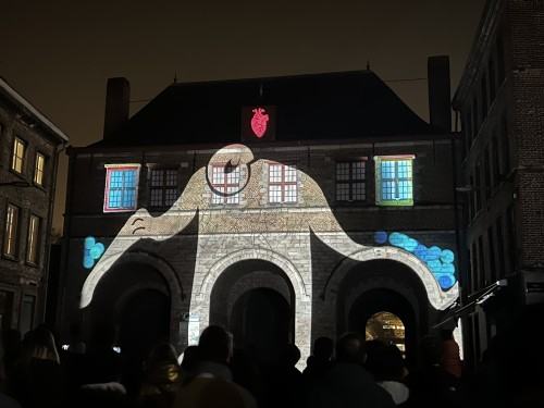 Video Mapping Festival #6 Lille we Francji, zdj. Robert Sochacki