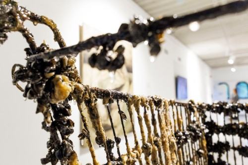 Przepływ_wernisaż Geppart