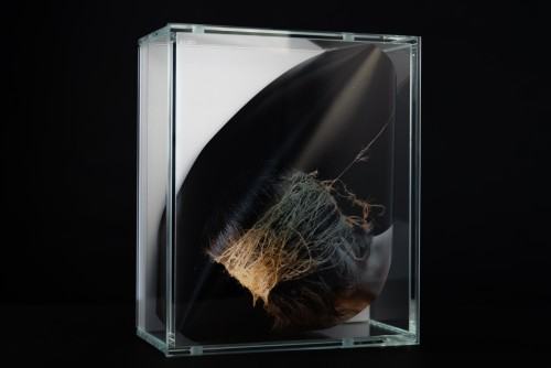 helena-kardasz-obiekt-2022.