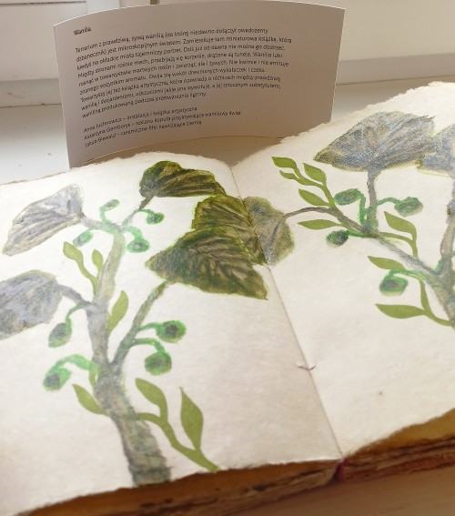 Obecnośc i nieobecność, A. Juchnowicz