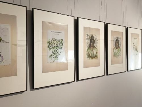 Obecnośc i nieobecność, A. Juchnowicz