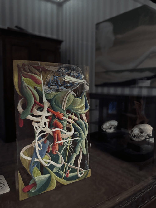 Na pograniczu światów V. Piękno anatomii
