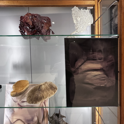 Na pograniczu światów V. Piękno anatomii