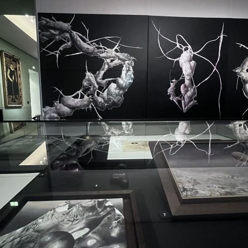 Morgenröte. Łukasz Huculak sieht Jacob Böhme