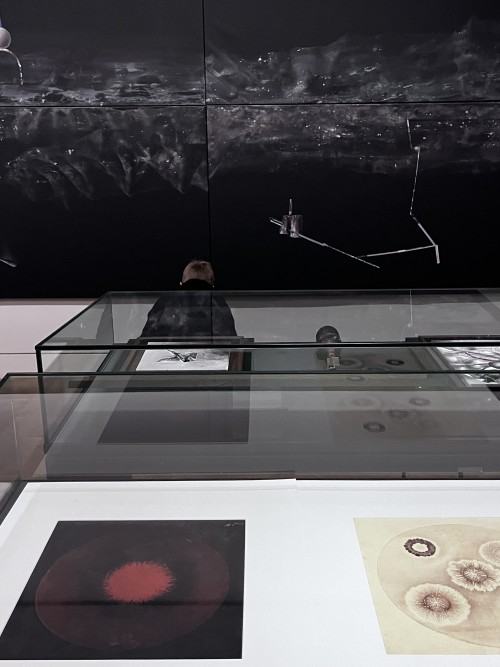 Morgenröte. Łukasz Huculak sieht Jacob Böhme