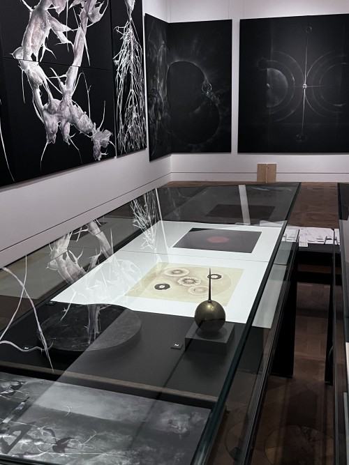 Morgenröte. Łukasz Huculak sieht Jacob Böhme