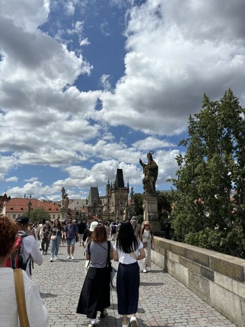 Summer Art and Design School 2024