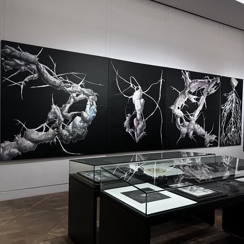 Morgenröte. Łukasz Huculak sieht Jacob Böhme