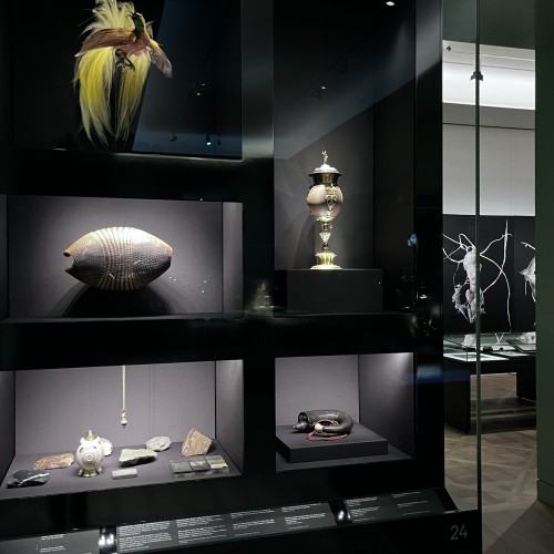 Morgenröte. Łukasz Huculak sieht Jacob Böhme