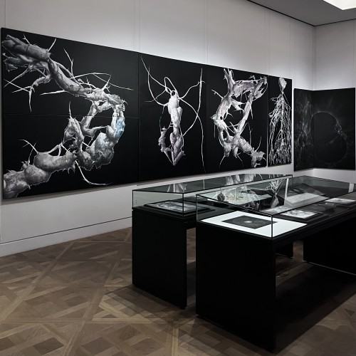 Morgenröte. Łukasz Huculak sieht Jacob Böhme